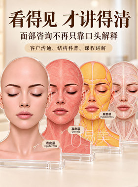 面部七层结构摆台美容院皮肤抗衰管理解剖教学亚克力科普展示教具