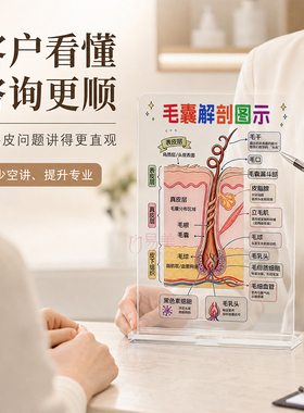 毛囊解剖图示头皮毛发结构科普图养发馆植发美容院咨询讲解展示牌