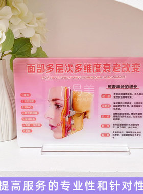 面部多层次多维度衰老改变专业美容院培训展示教育营销亚克力摆台
