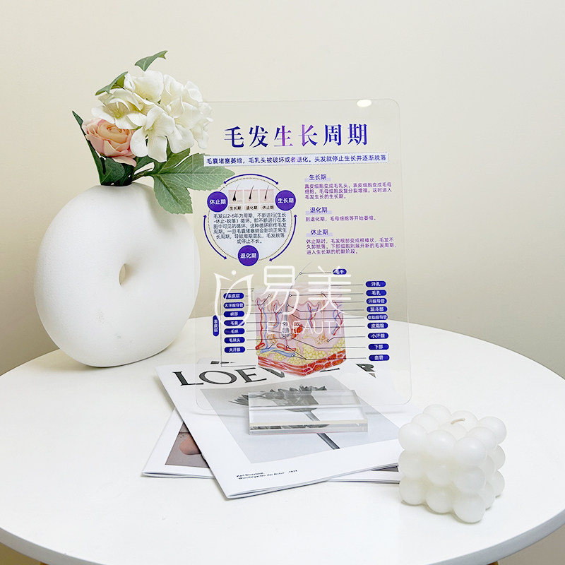 繁体字医疗讲解亚克力摆台医美华人海外医患沟通知识讲解科普讲解
