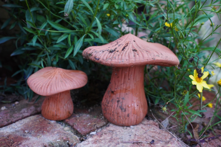 红陶花园蘑菇摆件花园别墅庭院摆件,淘宝优惠券,粉丝福利购,淘宝优惠卷