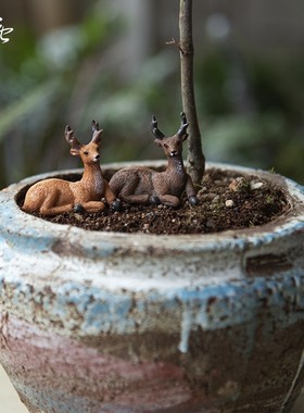 花园摆件微景观花盆小花宠