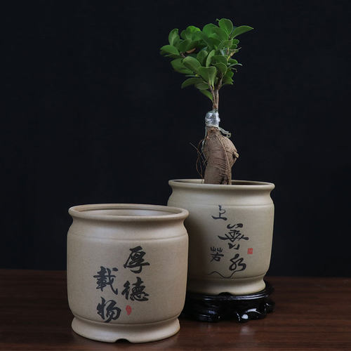 多肉花盆老桩发财树特价清仓创意室内桌面中国风粗陶透气陶瓷盆景 - 图1