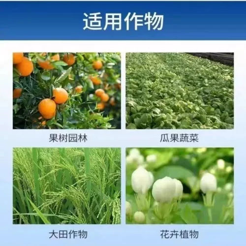 Аммониея молибденам аммония молибденам удобрения, сельскохозяйственные удобрения, удобрения поверхности листьев, удобрения, семи молибдена аммония молибден Аммоний -молибден Аммоний -молибден Аммониевый увлажняет.