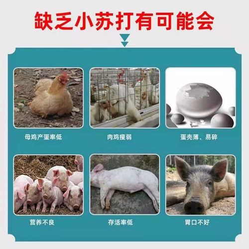 Beast Pink Beasts с 50 фунтами животноводства и птицеводной свинины, овец, овец, утки и аквакультуры для кормовых добавок