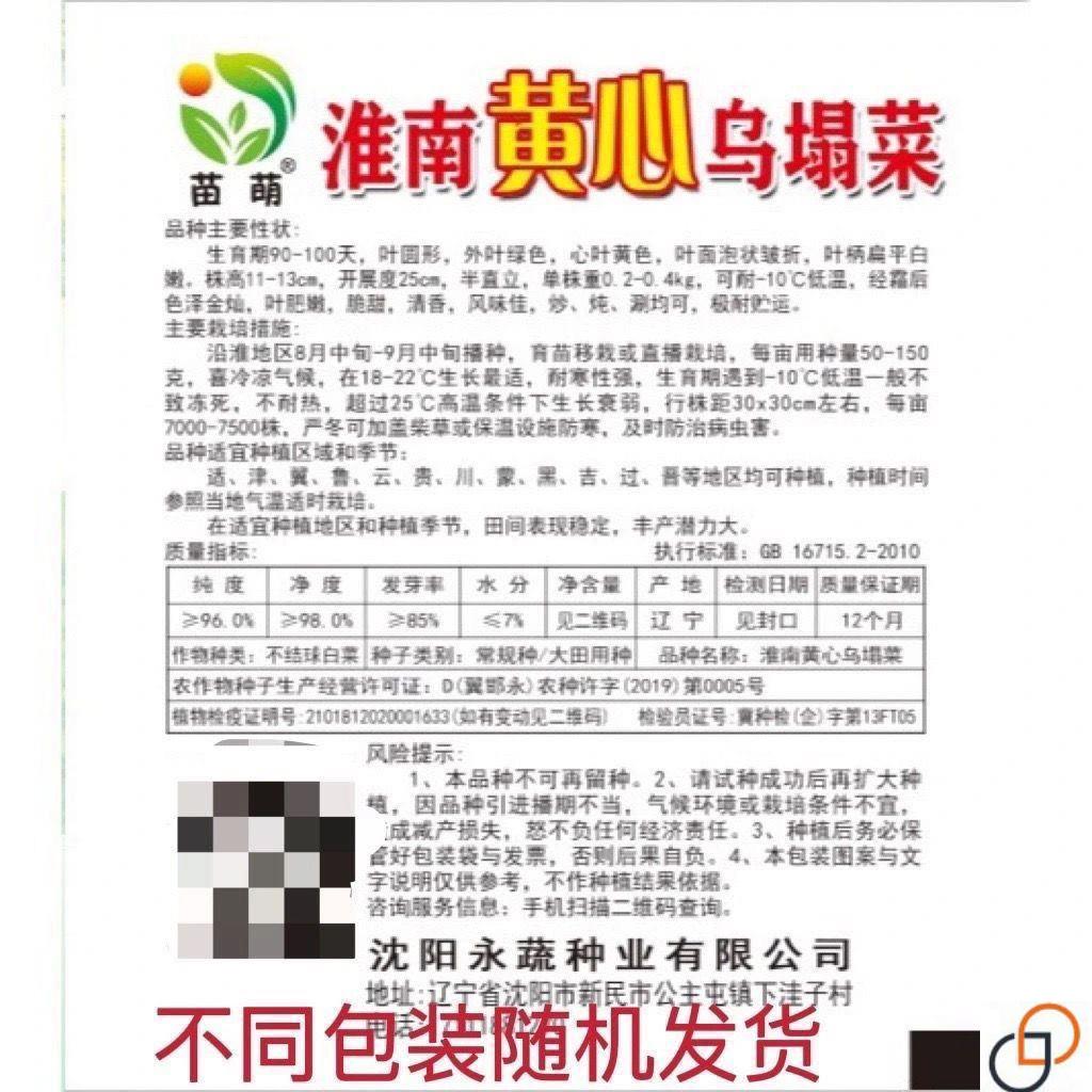 心塌乌菜种子种耐寒黄心菜种籽CJZ菊花心菜籽黄种易黄金乌蔬菜种