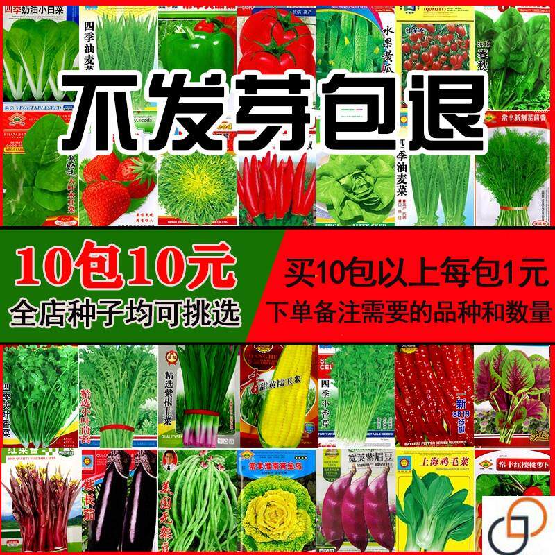 正品羊角蜜瓜酥甜瓜种子种籽苗蔬菜孑秧脆高产香瓜四季大全瓜苗