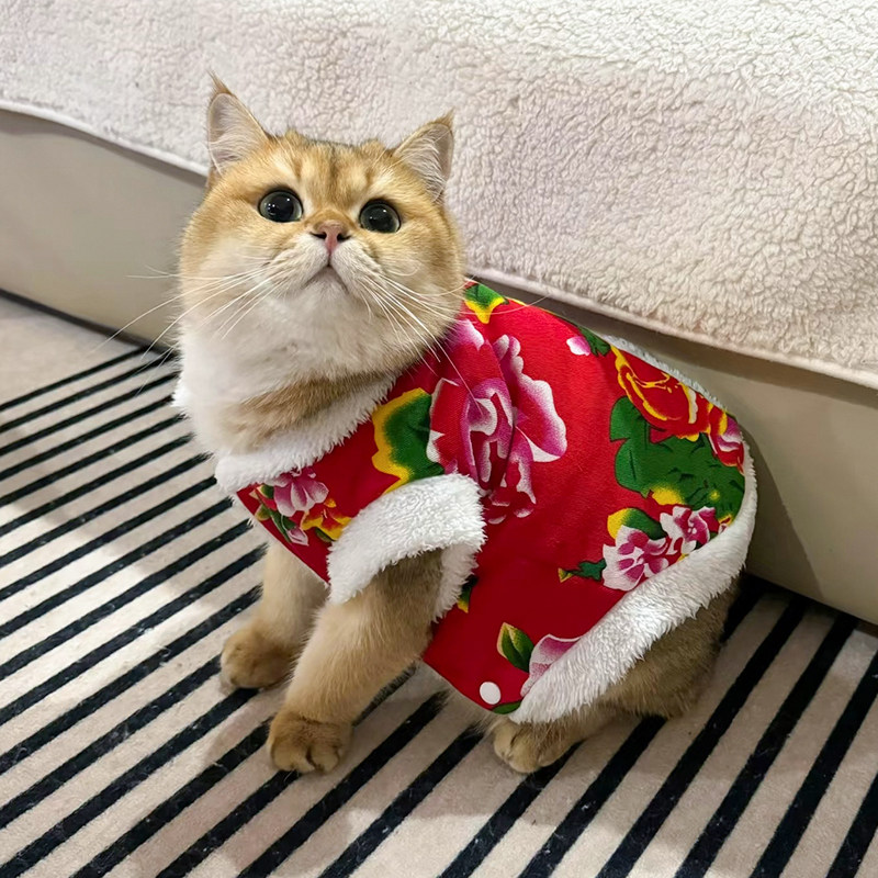 猫咪衣服秋冬款东北大花毛绒棉衣金渐层布偶幼猫宠物狗狗冬天保暖,淘宝优惠券,粉丝福利购,淘宝优惠卷