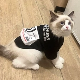 Кошачья одежда экспресс на вынос British Коротко -голубое серебристое серебряное серебряное серебряное серебро слой серебристого серебряного серебра