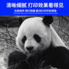 Applicable to hp/HP Laserjet M1136 MFP toner cartridge m126nw laser printer cartridge 88A toner m128fp/fw m1216nfh toner cartridge CC388A easy to add powder
