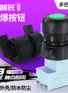 BA8095自锁型防爆防腐转换开关二档三档控制旋钮防爆急停按钮30MM