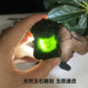 Natural jade jade pendant Bagua brand Xiuyan jade pendant jade carving waist pendant Bagua jade pendant antique jade
