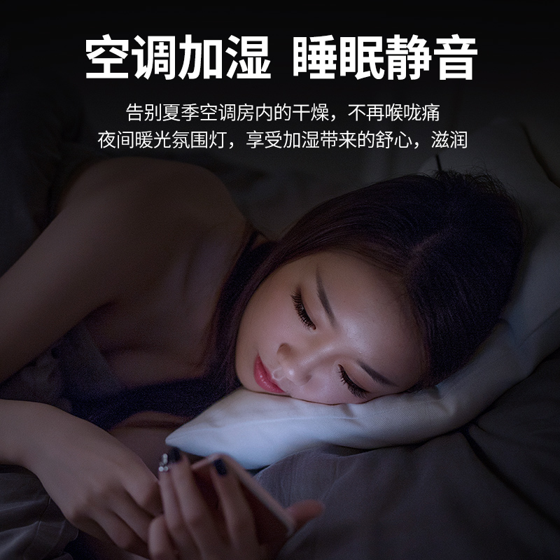 富威数码万信专卖店加湿器家用静音空气净化器喷雾消除异味汽车迷你小型香薰车内2