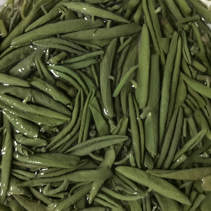 果百伦 莼菜900g 苏州太湖 新鲜莼菜 马蹄菜利川包邮 纯菜食用 - 图2