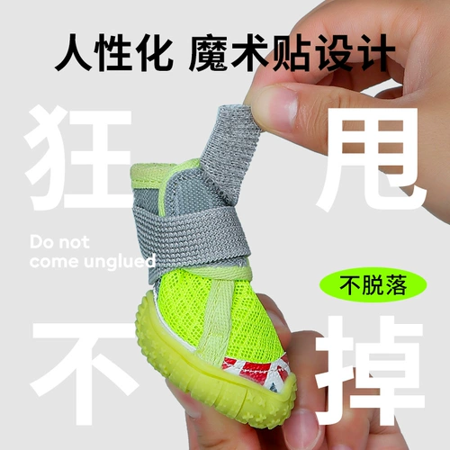 Маленькие собаки и ботинки для собак плюшевые туфли для любимой собаки.