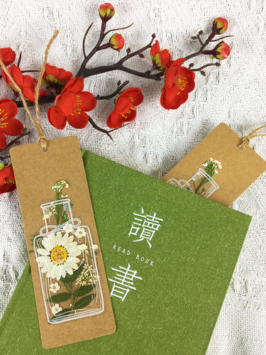 创意透明春天小瓶子干花书签diy材料包小学生制作压花自制植物花草标本pet塑料膜小卡片幼儿园儿童手工课美劳 - 图1