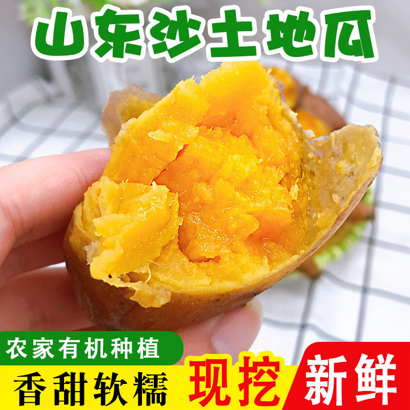 新鲜红薯黄心粉糯山东蜜薯沙地小 淞尚阁番薯