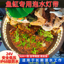 Led fish tank special lamp with outdoor waterproof 24v guffa fish pool pool underwater Blister self-adhesive low pressure light strip