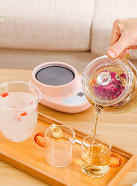 养生壶迷你型办公室电热杯