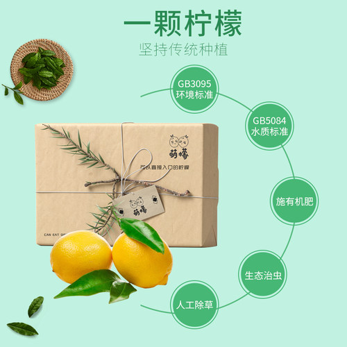 萌檬2斤鲜果柠檬新鲜不打蜡欧盟即食有机黄柠檬即食当季新鲜采摘 - 图2