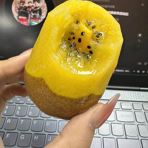 猕猴桃树果苗嫁接阳光金果G9黄心猕猴桃苗特大盆栽地栽南北方种植 - 图1