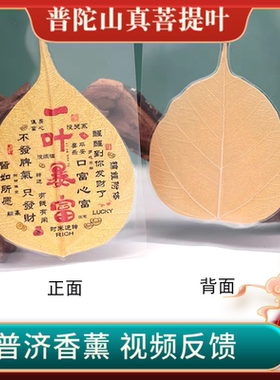 普陀山菩提叶手绘一叶暴富