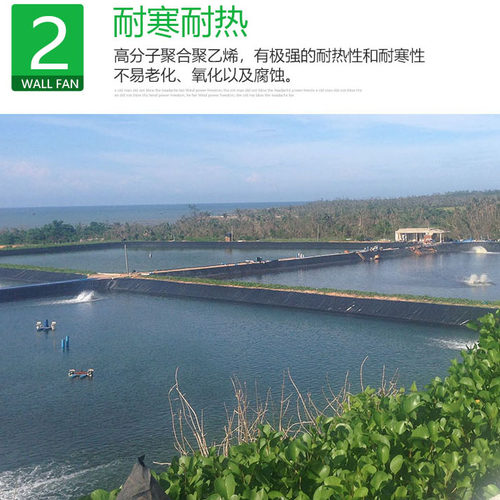 防渗膜养殖膜蓄水池专用鱼塘地膜鱼虾防水膜hdpe大棚薄膜土工布 - 图1