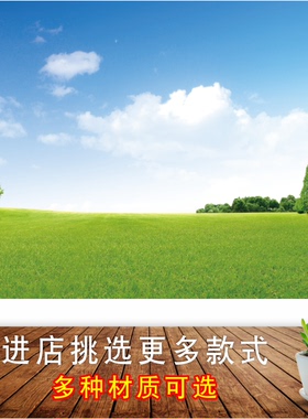 草地草原蓝天白云自然风景装饰画