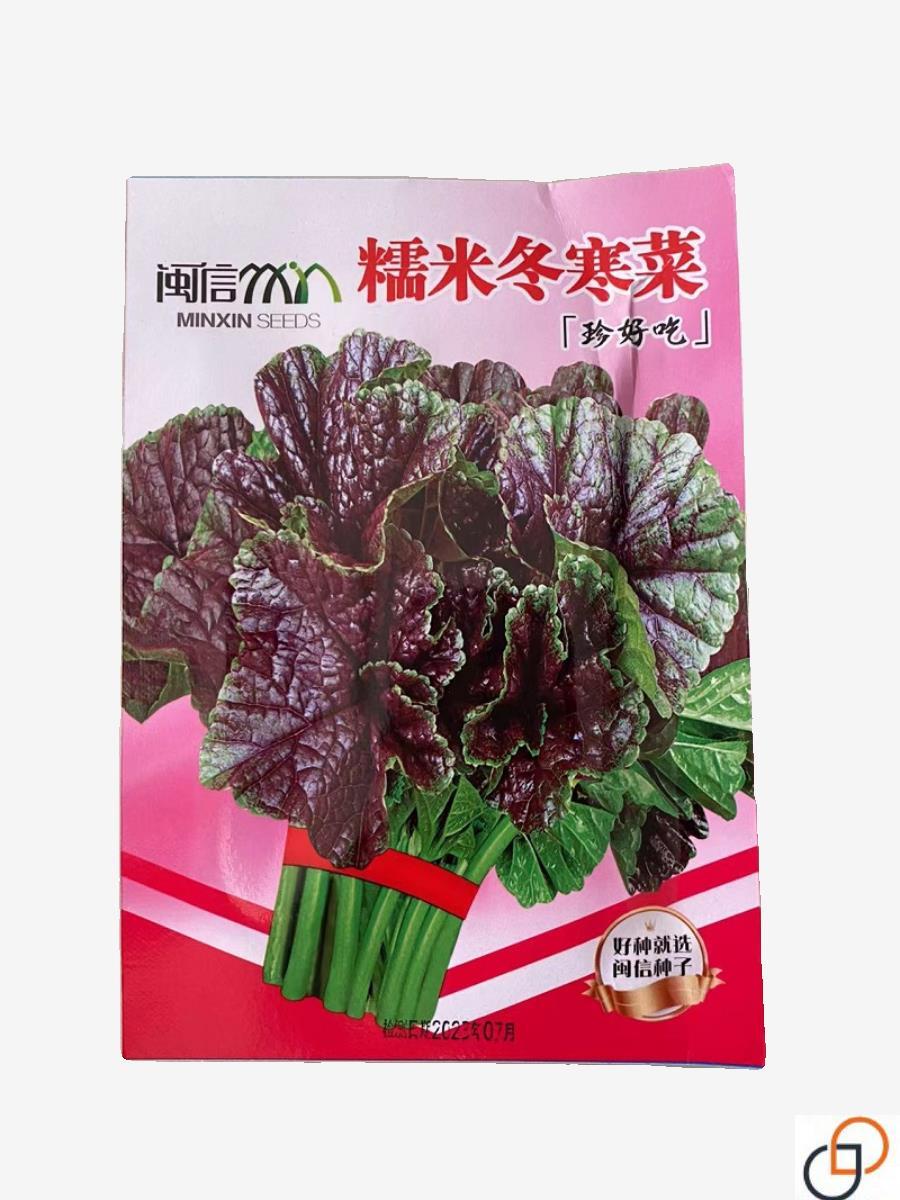 糯米冬寒菜种籽冬苋菜种子适合冬天菜种冬季蔬菜苗青菜孑菜籽菜苗