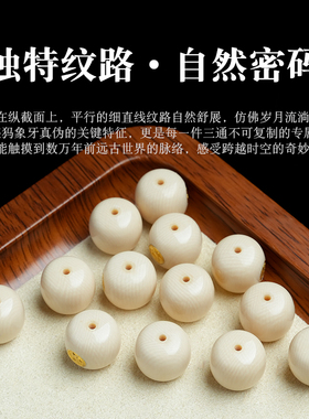冰料猛犸象牙老型桶珠足金镶嵌