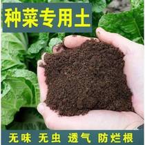 Special universal 100 catfish for nourishing native flowers special native balcony vegetables for the cultivation of earth organic soil
