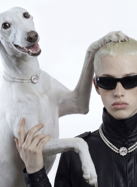 萌宠粉色贝母灵缇犬狗狗珍珠项链