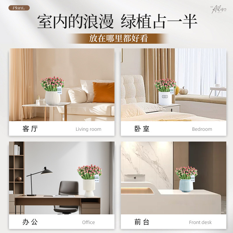 特大盆钱串子多肉植物室内发财树招财绿植盆栽旺宅好养肉肉金钱树,淘宝优惠券,粉丝福利购,淘宝优惠卷