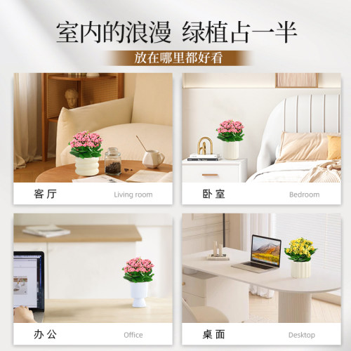 长寿花盆栽重瓣带花苞花卉室内阳台桌面绿植四季常青好养多肉植物 - 图3
