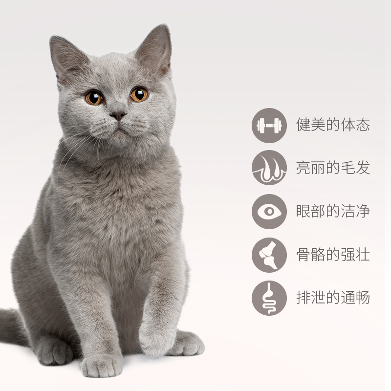 Seafood flavour cat food (full period) 500g*20 海鲜味猫粮优惠券