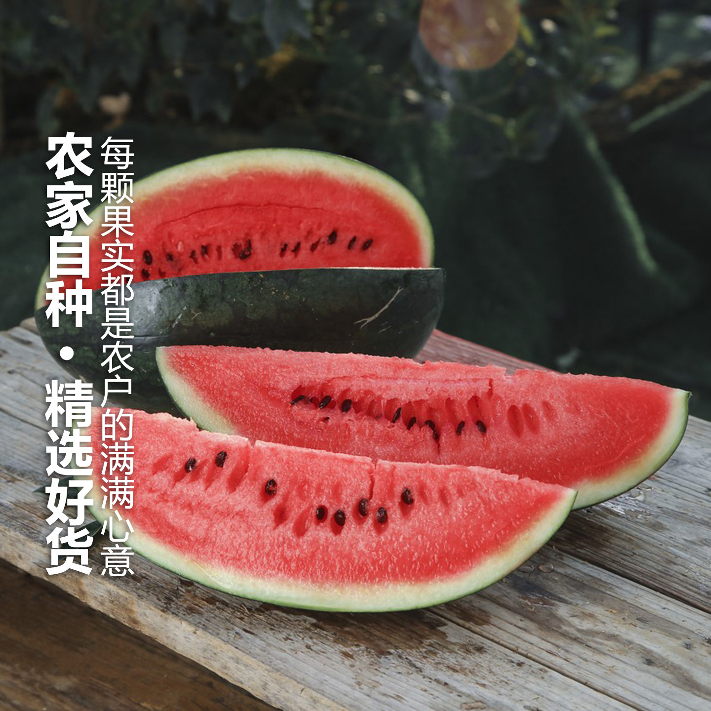 新鲜黑美人西瓜当季水果整箱时令薄皮大西瓜沙瓤甜西瓜麒麟瓜包邮,淘宝优惠券,粉丝福利购,淘宝优惠卷