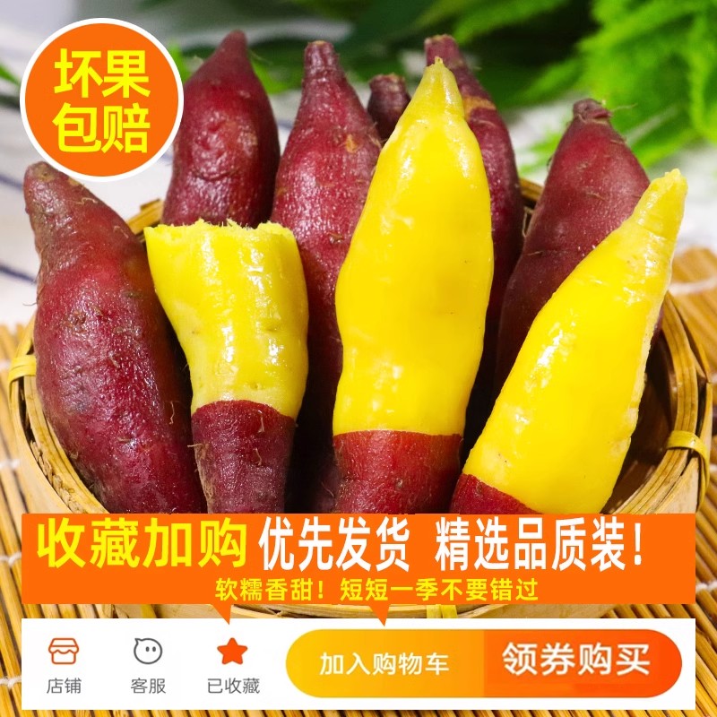 2024新挖临安天目山小香薯红薯新鲜农家自种正宗板栗番薯地瓜 5斤