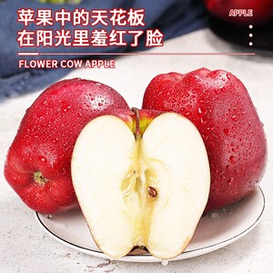細節(jié)圖