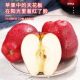 9 Huaniu apples, the noodles are delicious!