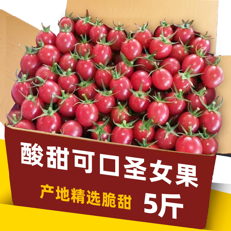 2022圣女果新鲜小番茄5斤水果当季蔬菜自然熟西红柿生吃番茄现摘
