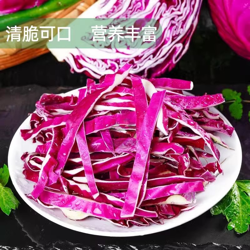 2024新鲜紫甘蓝5斤紫包菜紫色球生菜红椰菜西餐蔬菜轻食沙拉食材