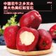 9 Huaniu apples, the noodles are delicious!
