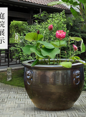 陶瓷花盆室外庭院睡莲水缸种树
