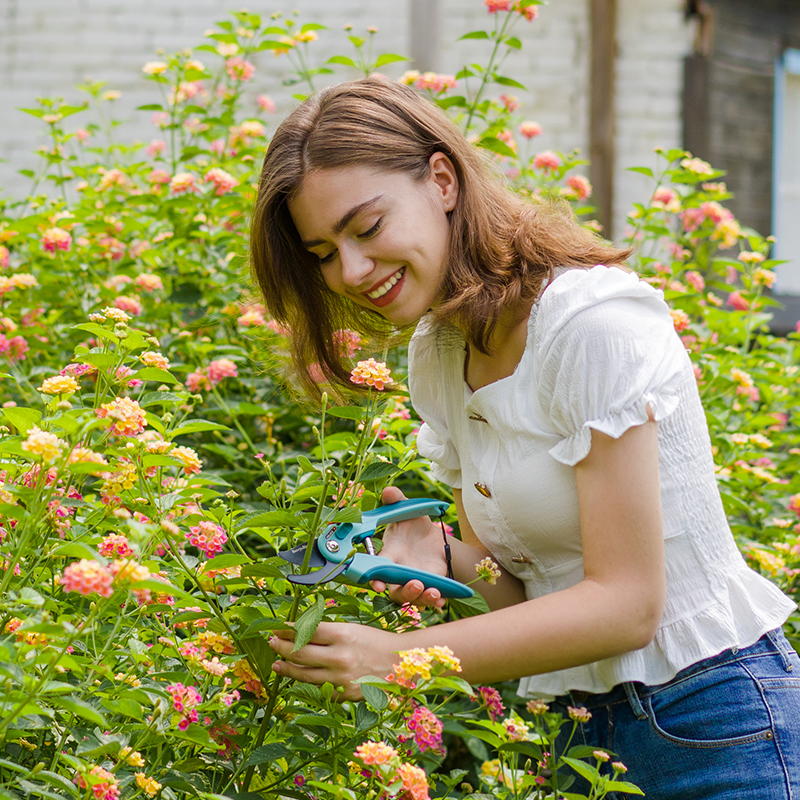 Berry&Bird园艺森林修枝剪刀花艺盆栽水果树粗枝专用剪子省力家用 - 图3