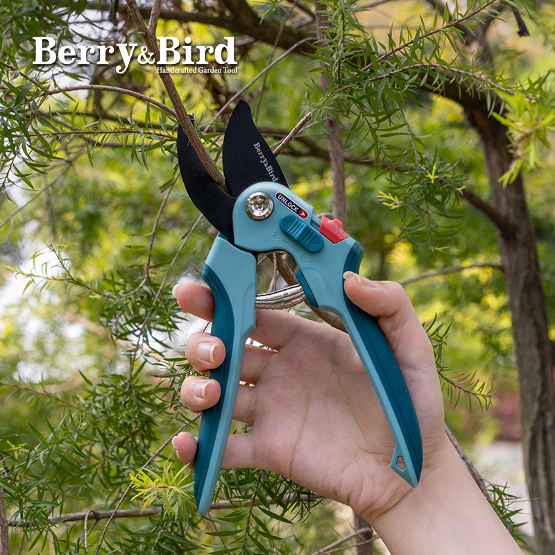 Berry&Bird园艺修枝剪刀花艺盆栽粗树枝剪子省力舒适插花盆景家用_虎窝淘