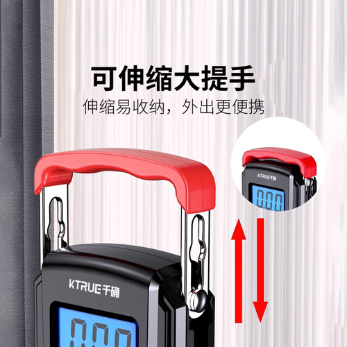 千确高精度手提电子秤小型便携式家用钩商用称手拉弹簧行李称鱼器 - 图1