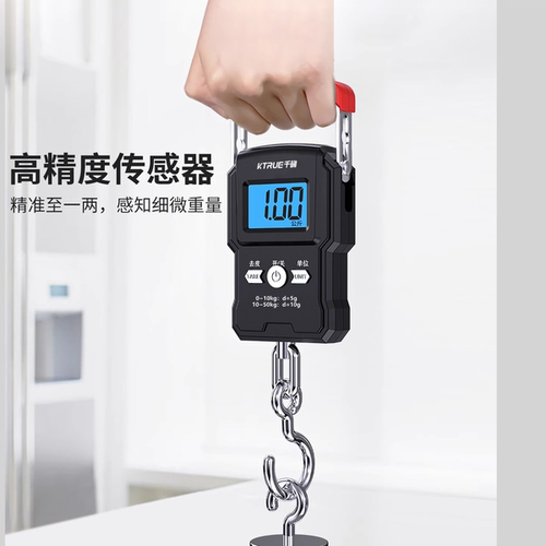 千确高精度手提电子秤小型便携式家用钩商用称手拉弹簧行李称鱼器 - 图0