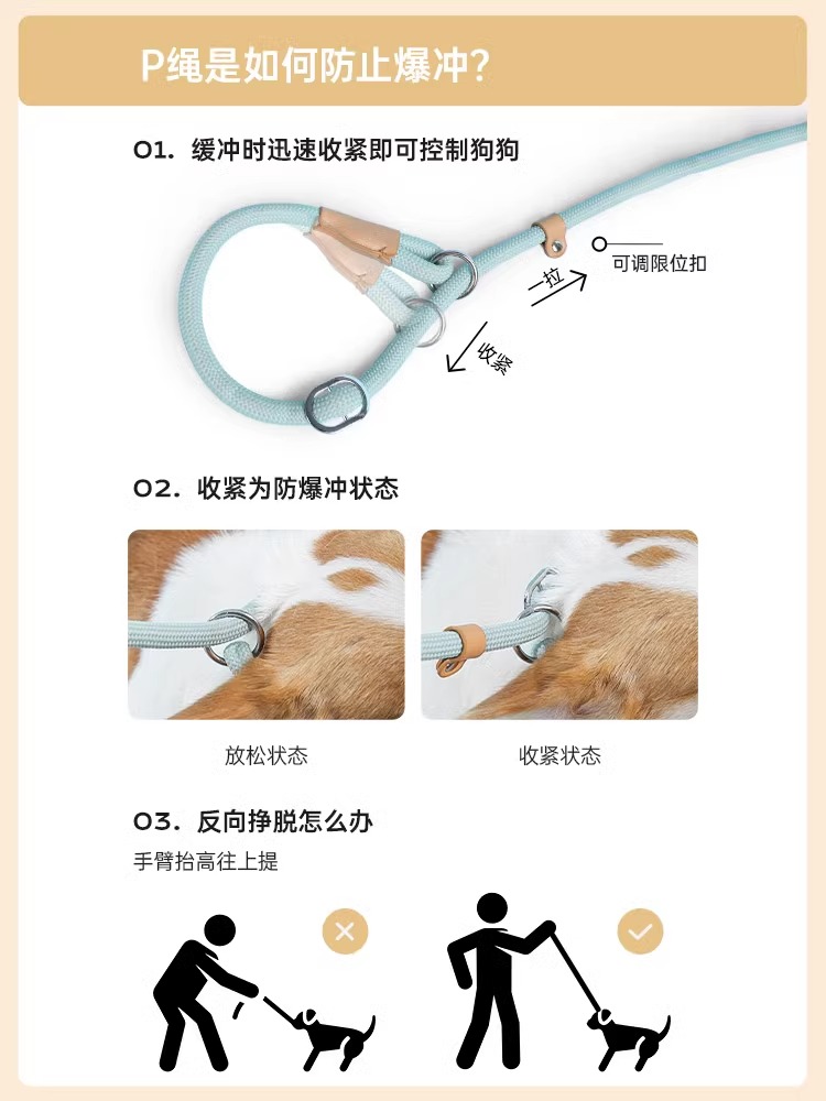 MPETS狗狗牵引绳p绳p链狗绳子大中小型犬柯基网红防爆冲遛狗链子 - 图2