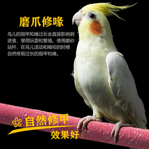 鹦鹉磨砂站杆磨爪棒磨牙磨砂棒站棍八哥玩具花椒木站杠架鸟用品具 - 图0