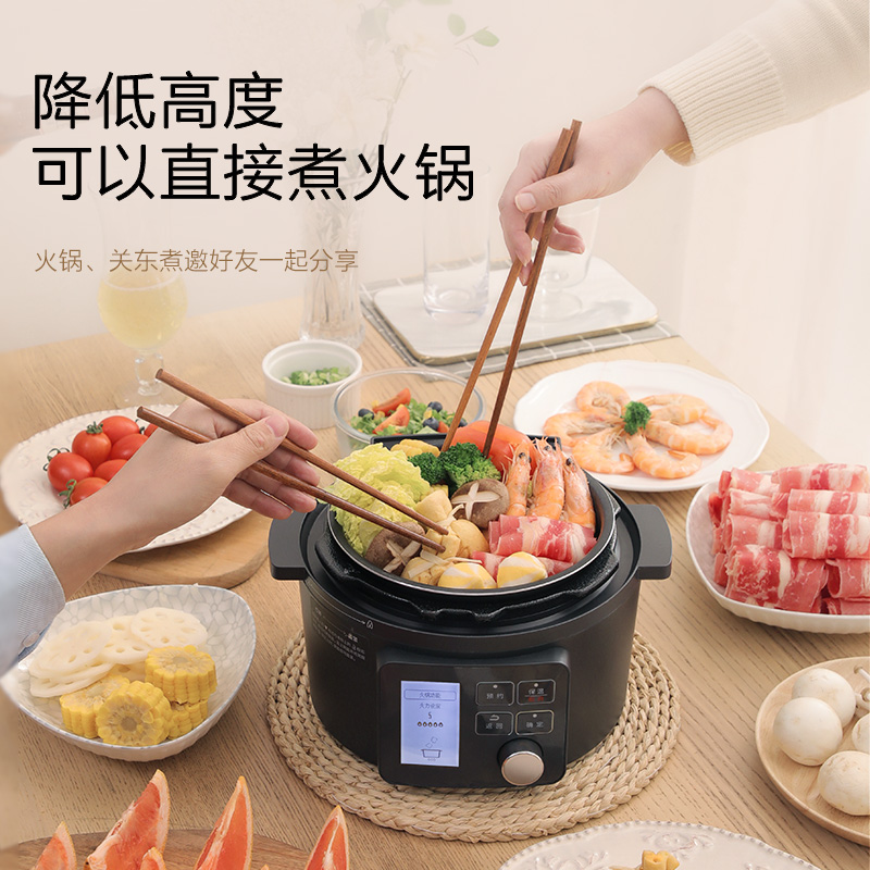 日本爱丽思电压力锅家用全自动多功能高压锅煲电饭煲一体汤炖火锅